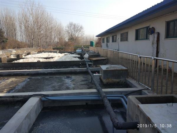 屠宰場泡沫 屠宰場泡沫