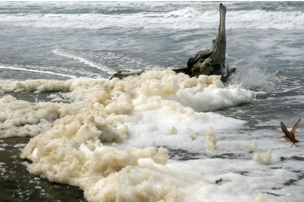 發(fā)電泡沫.png 發(fā)電泡沫.png