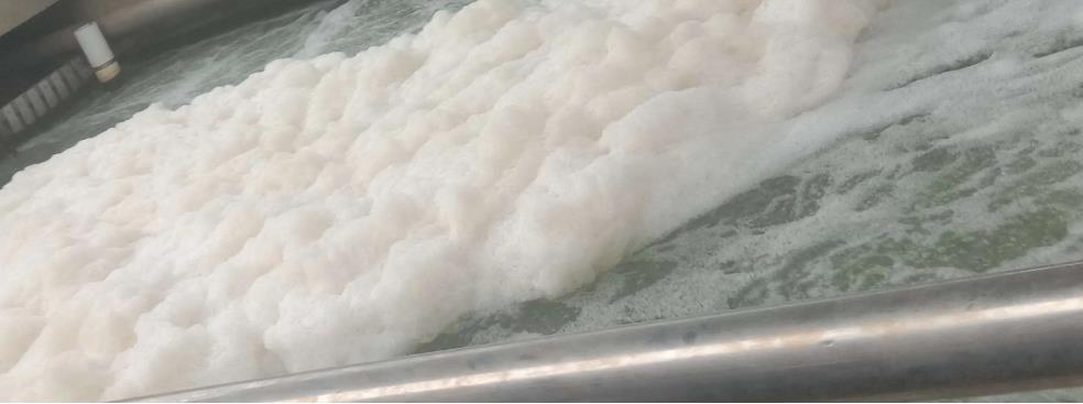 污水泡沫.jpg 污水泡沫.jpg